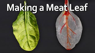 A Leaf Made of Meat [upl. by Llertniuq]