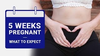 5 Week Pregnant  What to Expect [upl. by Head516]