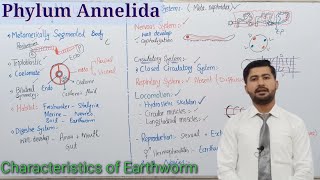 107 Phylum Annelida  Kingdom Animalia Fsc biology class 12 [upl. by Best]