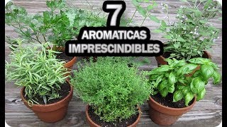 7 Aromáticas IMPRESCINDIBLES En El Huerto Urbano O Jardín  La Huertina De Toni [upl. by Leann457]