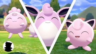 【Pokemon Camp】Igglybuff・Jigglypuff・Wigglytuff＆Shiny Cute Song [upl. by Banyaz]