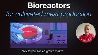 Bioreactors for cultivated meat production [upl. by Dam932]