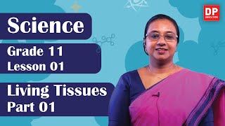 Lesson 01  Living Tissues Part 01  Grade 11 Science in English [upl. by Inail]