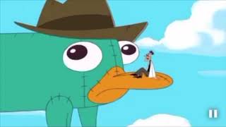 The Best quotA Platypus PERRY THE PLATYPUSquot Compilation [upl. by Oringa]