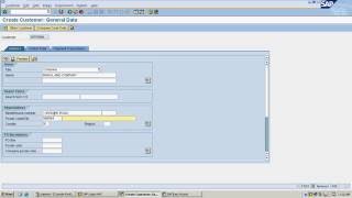 SAP Accounts receivable process flow  Live demo in the system [upl. by Leasi]