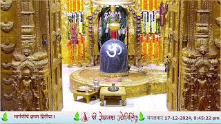 🔴 Live Sayam Aarti  Shree Somnath Temple First Jyotirlinga17December2024 [upl. by Akyssej]