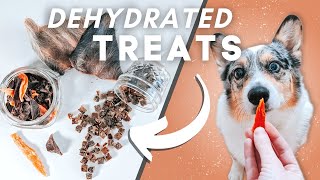 How To Dehydrate Treats For Your Pets Super Simple [upl. by Amandy427]