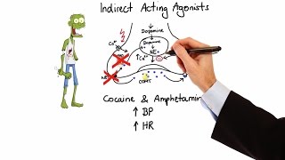 Pharmacology  ADRENERGIC RECEPTORS amp AGONISTS MADE EASY [upl. by Aneehc]