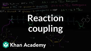 Reaction coupling to create glucose 6 phosphate  Biology  Khan Academy [upl. by Duax]