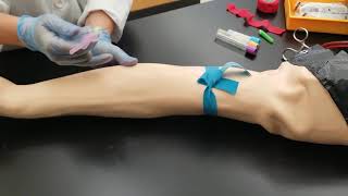 What To Expect from Phlebotomy Training [upl. by Zamir252]