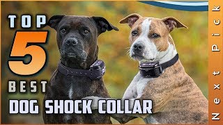 Top 5 Best Dog Shock Collar Review in 2024 [upl. by Ferdinand139]