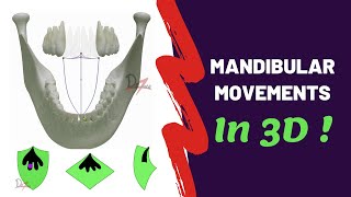 Mandibular Movements in 3D  SUPER EASY [upl. by Trilbie997]