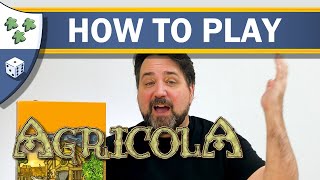 How to Play Agricola [upl. by Atinwahs447]