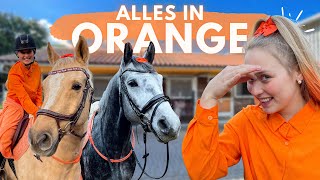 ALLES IN ORANGE [upl. by Ekenna]