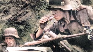 WW2 Waffen SS Intense Combat Footage [upl. by Jemimah]