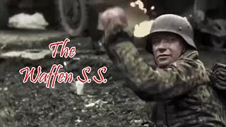 The Waffen SS Intense Combat Footage [upl. by Bailey699]