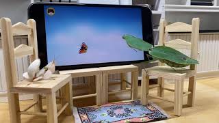 Praying mantises watching TV [upl. by Musser]