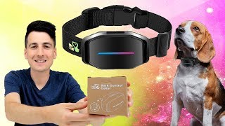 How To Make A Dog Stop Barking Dog Care Dog Bark Collar Review [upl. by Sydelle]