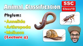 Animal Classification Lecture 4  Annelida Arthropoda Mollusca  Class 10  SSC  state board [upl. by Naujed428]