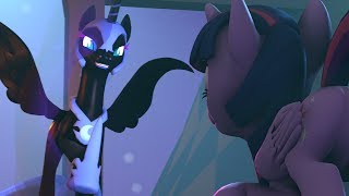 Nightmare Night SFM [upl. by Nidnal854]