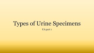 Urinalysis Basics Types of Urine Specimens [upl. by Verger]