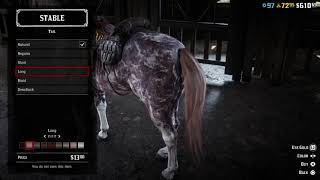 Red Dead Redemption 2 Horses  Everything You Need To Know [upl. by Ileek708]