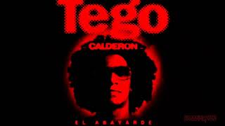 Tego Calderon Mix 🔥 [upl. by Arot]