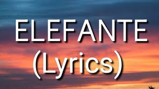 NK  ELEFANTE Lyrics • [upl. by Hcirteid]