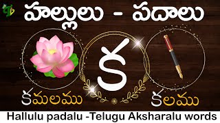 HALLULU PADALU  How to Write Telugu hallulu With WORDS  learn telugu words  Telugu vanam [upl. by Eerased]