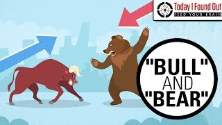 Why are Bull and Bear Markets Called That [upl. by Kato]