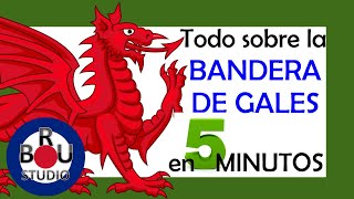 BANDERA de GALES ▷ Historia del DRAGÓN ROJO  Y Ddraig Goch [upl. by Harriet670]