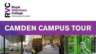 RVC Camden Campus Tour London [upl. by Ag]