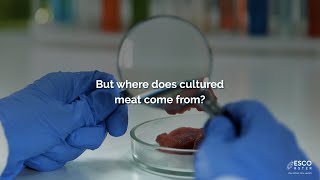 Where Does Cultured Meat Come From  Esco Aster [upl. by Kcireddor]