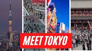 Tokyo Overview  An informative introduction to the worlds LARGEST city [upl. by Melena]