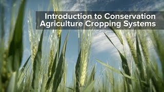 Introduction to Conservation Agriculture Cropping Systems [upl. by Enetsuj802]