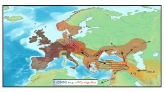 Overview of Haplogroups [upl. by Aym]