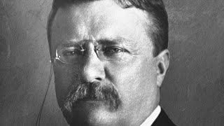 The Theodore Roosevelt Song [upl. by Notyep337]