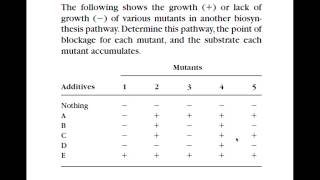 Biochem Pathway Analysis part 1 [upl. by Ocirne]