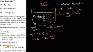 Water potential [upl. by Bilbe]