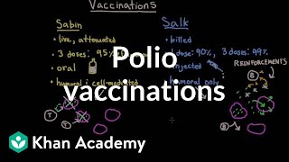 Polio vaccinations  Infectious diseases  NCLEXRN  Khan Academy [upl. by Nael]