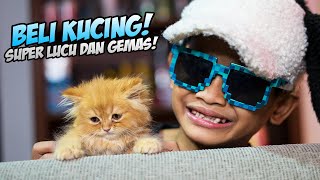 DRAMA BOCIL BELI KUCING SUPER LUCU DAN GEMAS MEREKA LANGSUNG SALING NGAMBEKAN [upl. by Fang]