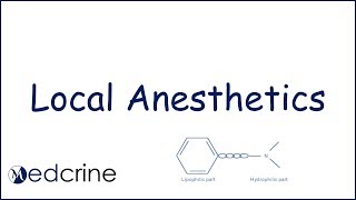 Local Anesthetics Classes Structure Examples and Properties [upl. by Eenerb288]