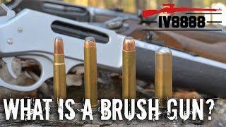 What is a Brush Gun [upl. by Macmillan]