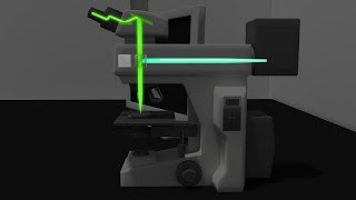 Fluorescence Microscopy Animation [upl. by Pedaiah]