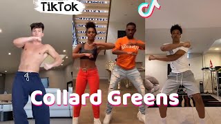 Collard Greens ScHoolboy Q  TikTok Dance Challenge Compilation [upl. by Nesnar]