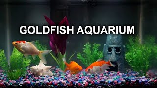 GOLDFISH AQUARIUM  8 HOURS  RELAXING  NO MUSIC [upl. by Rednasyl]