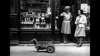 Robert Doisneau  Photographer Technique amp Process [upl. by Nelson]