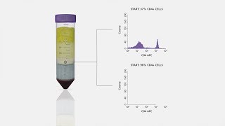 Cell Isolation in One Spin Using SepMate™ Tubes and RosetteSep™ Cell Separation Reagents [upl. by Yanel]