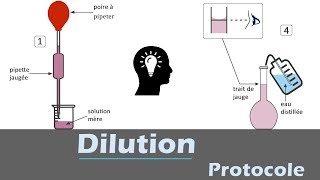 Dilution  🧪 Protocole  chimie [upl. by Auerbach]