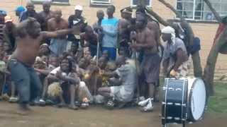 Jabulani Hostel Zulu Dancers [upl. by Behka]